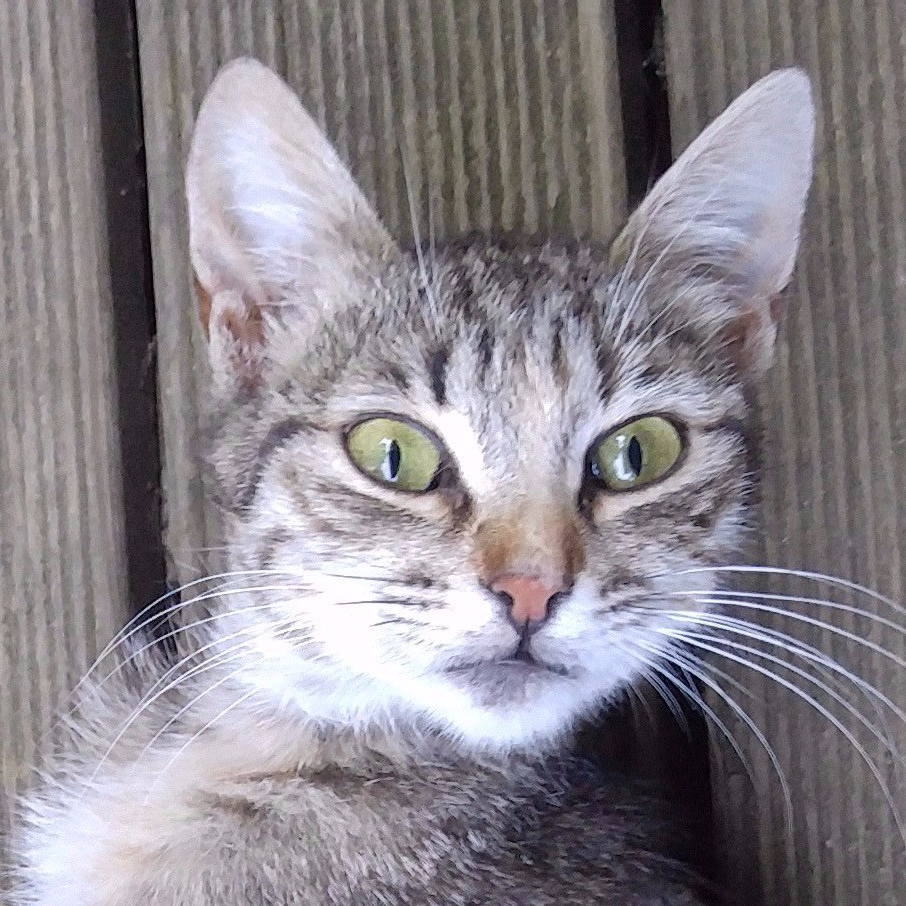 Bedenim Hiç Esnek Değil…&nbsp;İmdaat!