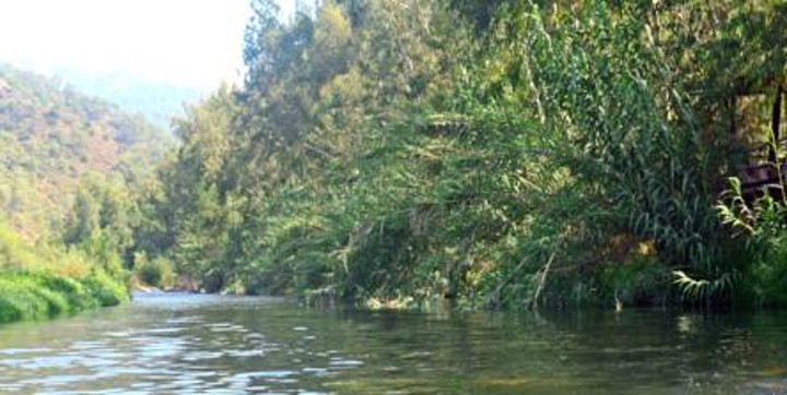 pastoral_dikdortgen_720x362