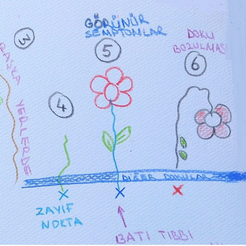 Ayurveda ve Hastalık