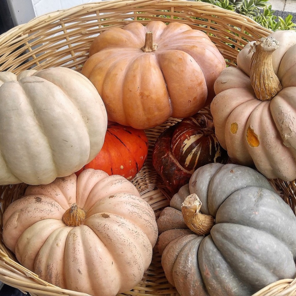 Market, Pazar, Organik Maceramdan&nbsp;İzlenimler