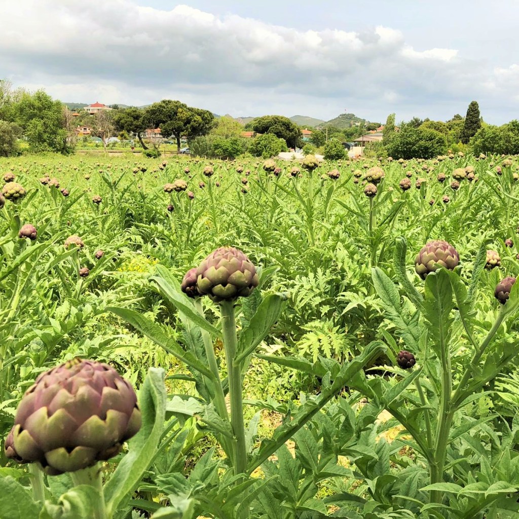 Karantinadan Öğrendiklerimiz – Yiyeceğimize İçeceğimize Sahip Çıkmak