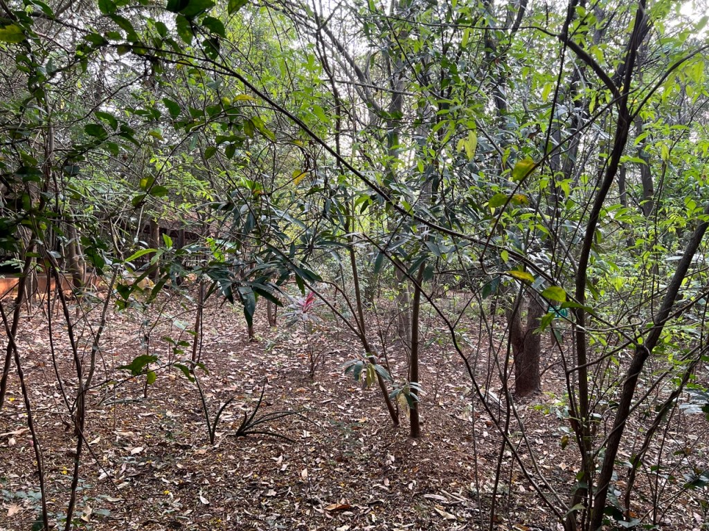 This image has an empty alt attribute; its file name is cesaret_1.jpeg