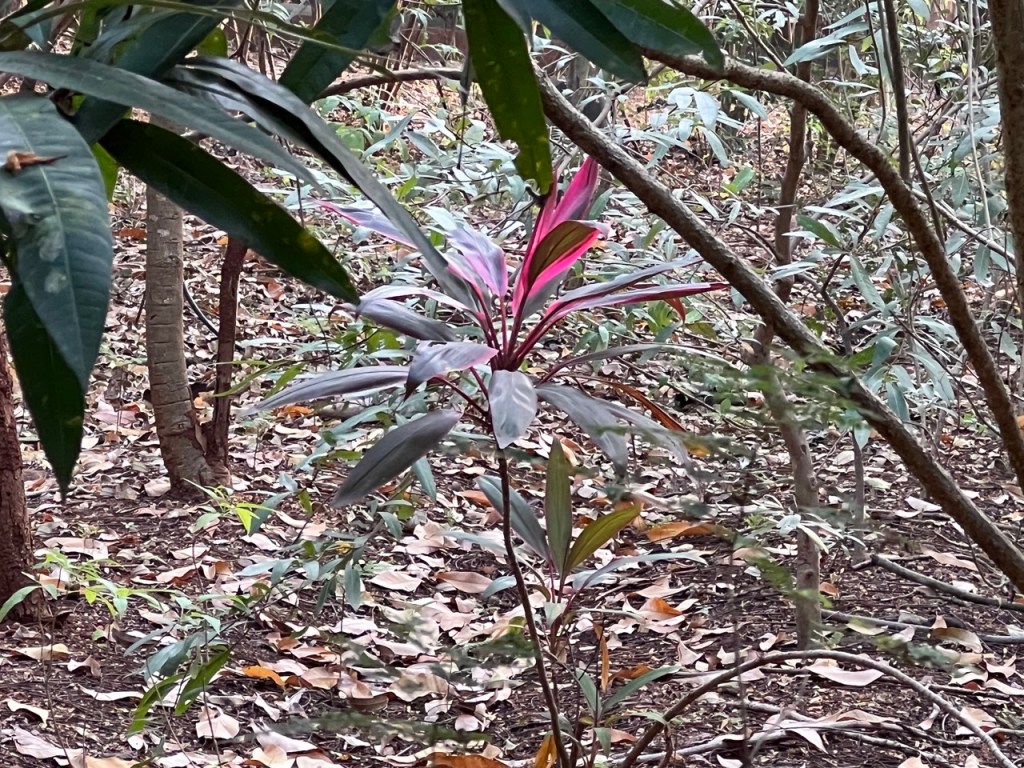 This image has an empty alt attribute; its file name is cesaret_2.jpeg